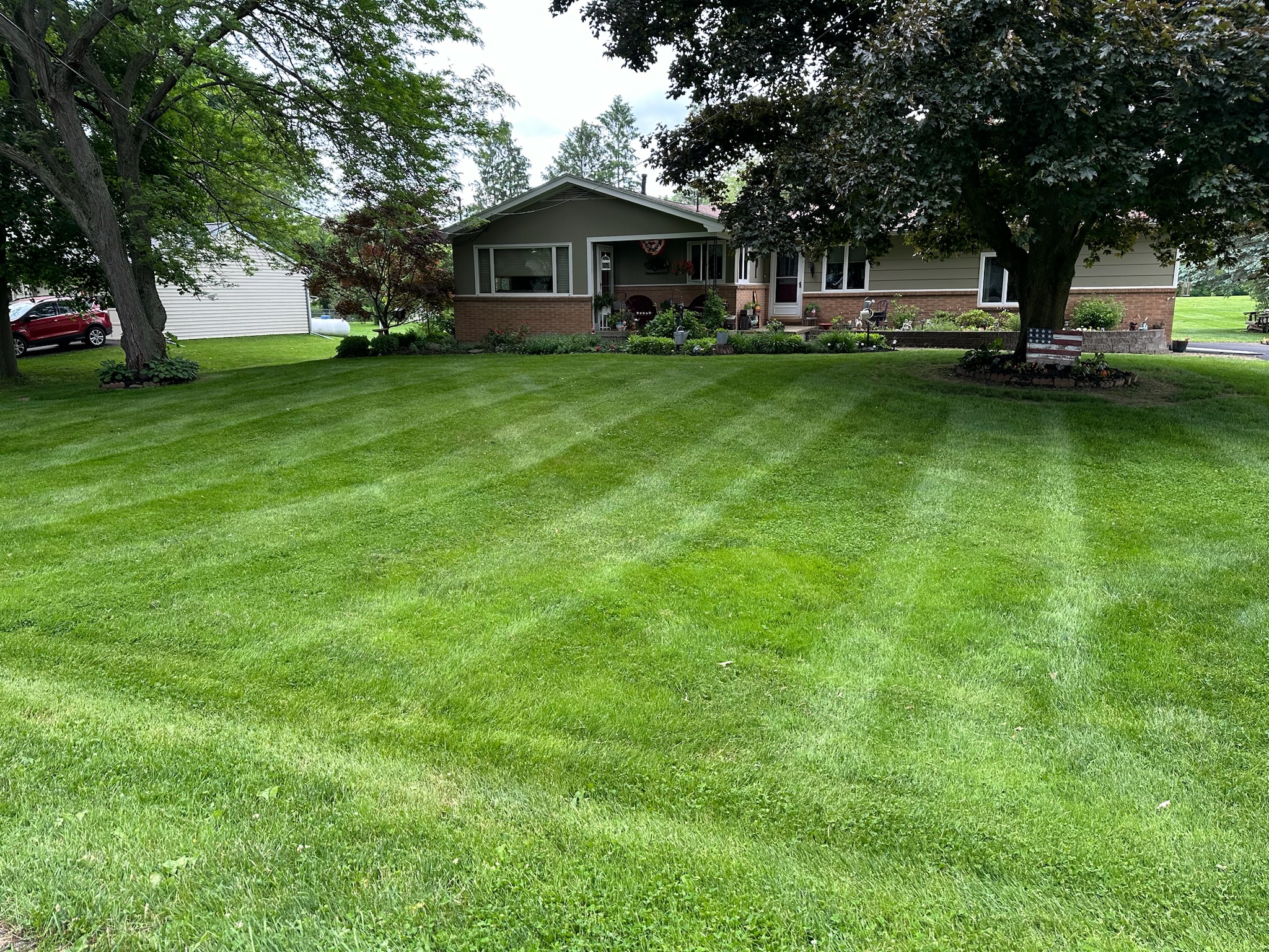 New lawn installation