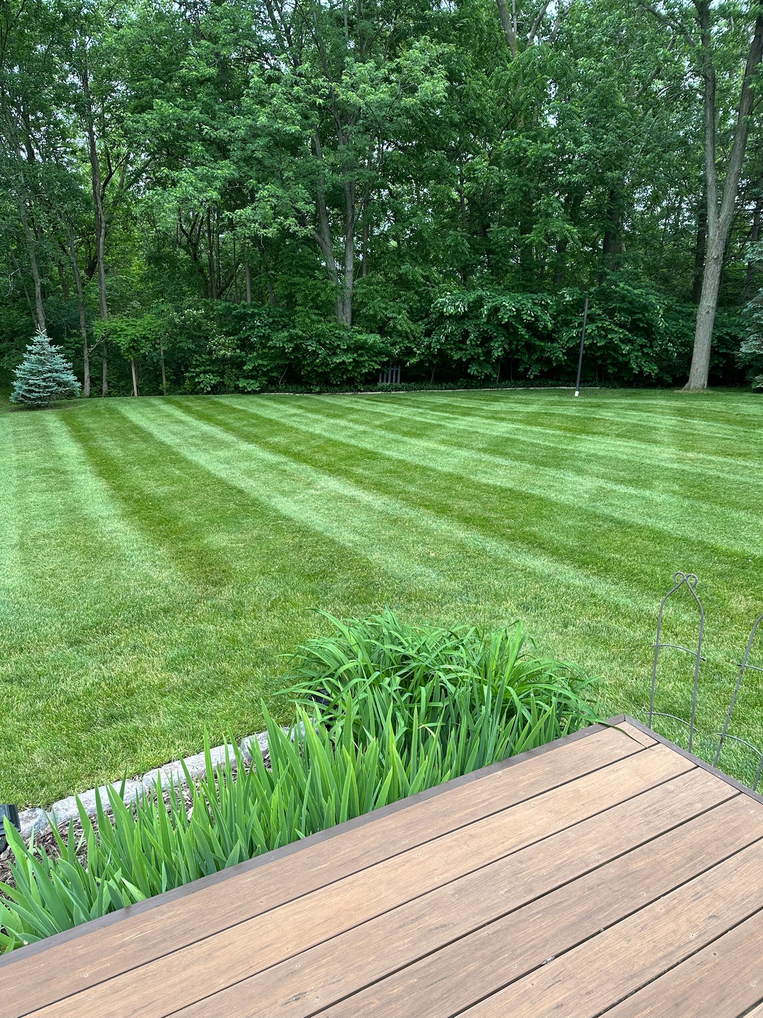 Spring cleanup service