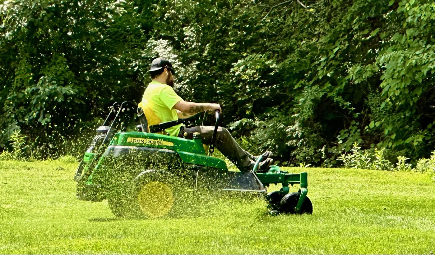 Healthy green lawn